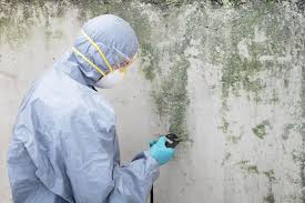 Mold Removal for HVAC Installations in Bluffton, IN